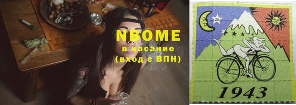 мет Алексин