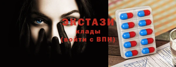 мет Алексин