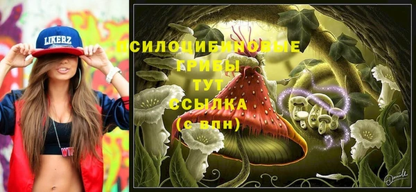 синтетический гашиш Алексеевка