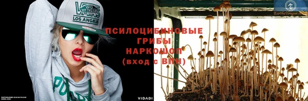 синтетический гашиш Алексеевка