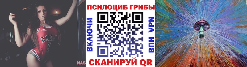 блэк спрут ТОР  Поронайск  Галлюциногенные грибы Psilocybine cubensis  наркошоп 